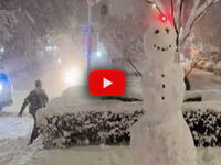 Leggi la notizia extra 6