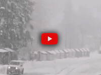 Leggi la notizia extra 1