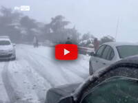 Meteo Cronaca Diretta VIDEO: Algeria, la neve imbianca le strade a Blida