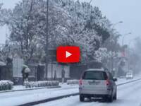 Leggi la notizia extra 4