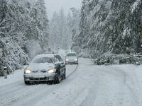 Meteo: Neve, tra poco cadrà più in basso del previsto! Le zone colpite