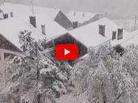 Meteo Cronaca Diretta (Video): Neve d'Aprile a Tarvisio, imbiancate le Alpi friulane oltre i 700 metri