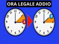 Leggi la notizia extra 2