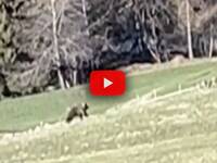 Leggi la notizia extra 1