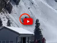 Leggi la notizia extra 2