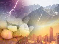 Meteo: Prossime Ore, in arrivo forti Temporali e...