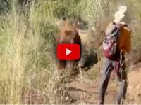 Leggi la notizia extra 8