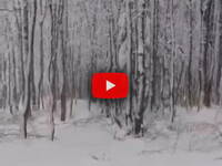 Sila Grande, scenario da pieno inverno nel cuore della Calabria, il Video