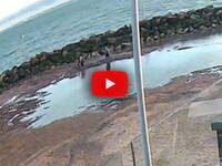 Leggi la notizia extra 2