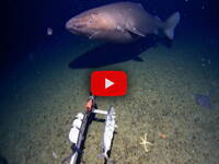 Leggi la notizia extra 8