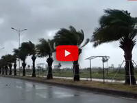 Leggi la notizia extra 7