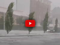 Meteo: Torino, intensa Grandinata trasforma la città in un fiume di ghiaccio, il Video