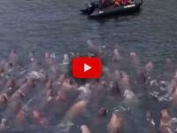 Leggi la notizia extra 7