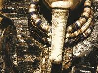 Tutankhamon, svelato il mistero della maledizione; vediamo cosa c'era nella Tomba, i dettagli
