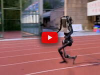 Leggi la notizia extra 1