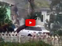 Leggi la notizia extra 2