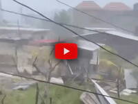 Leggi la notizia extra 1