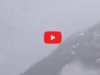 Leggi la notizia completa