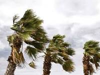 Meteo Avviso: Tempesta di Vento tra poco, ecco dove colpirà 