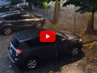 Meteo, nubifragio a Verona: temporali e venti forti colpiscono la città, il Video