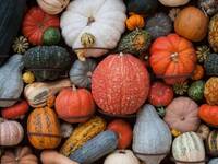 Il Meteo nel Piatto: Halloween bagnato, autunno...