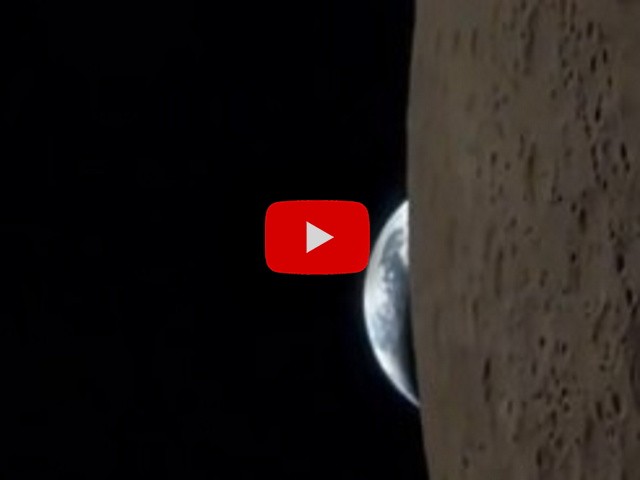 iPhone Video Goes Viral: How a Simple Phone Captured an Unbelievable Moment