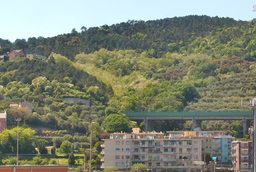 Preview delle webcam di Savona